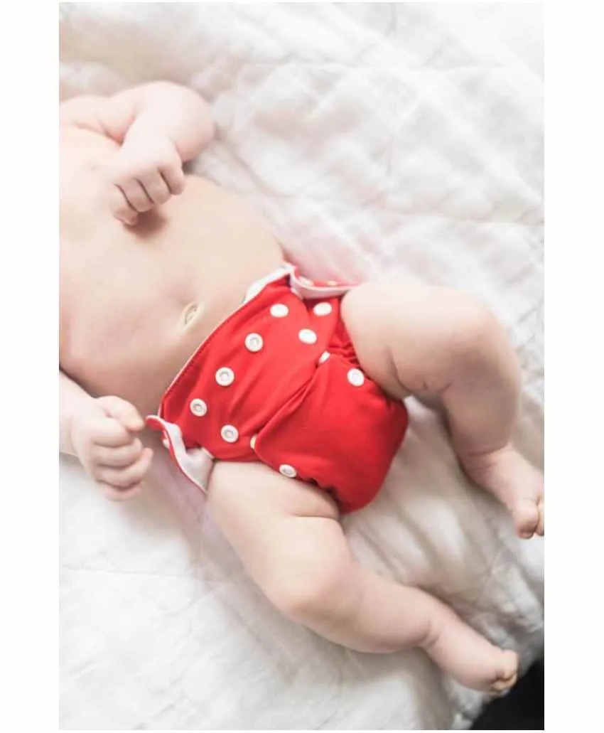 Babymoon Free Size Washable & Reusable 4 Cloth Diapers With 4 Grey Insert - Pack of 8