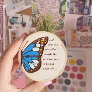 Handpainted Wooden Air plant magnet Butterfly