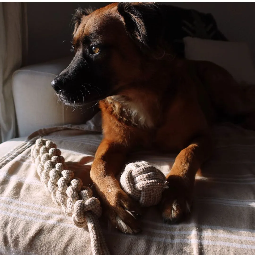 Indestructible & Sustainable Hemp Rope Dog Tug Toy