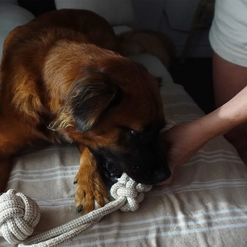 Indestructible & Sustainable Hemp Rope Dog Tug Toy