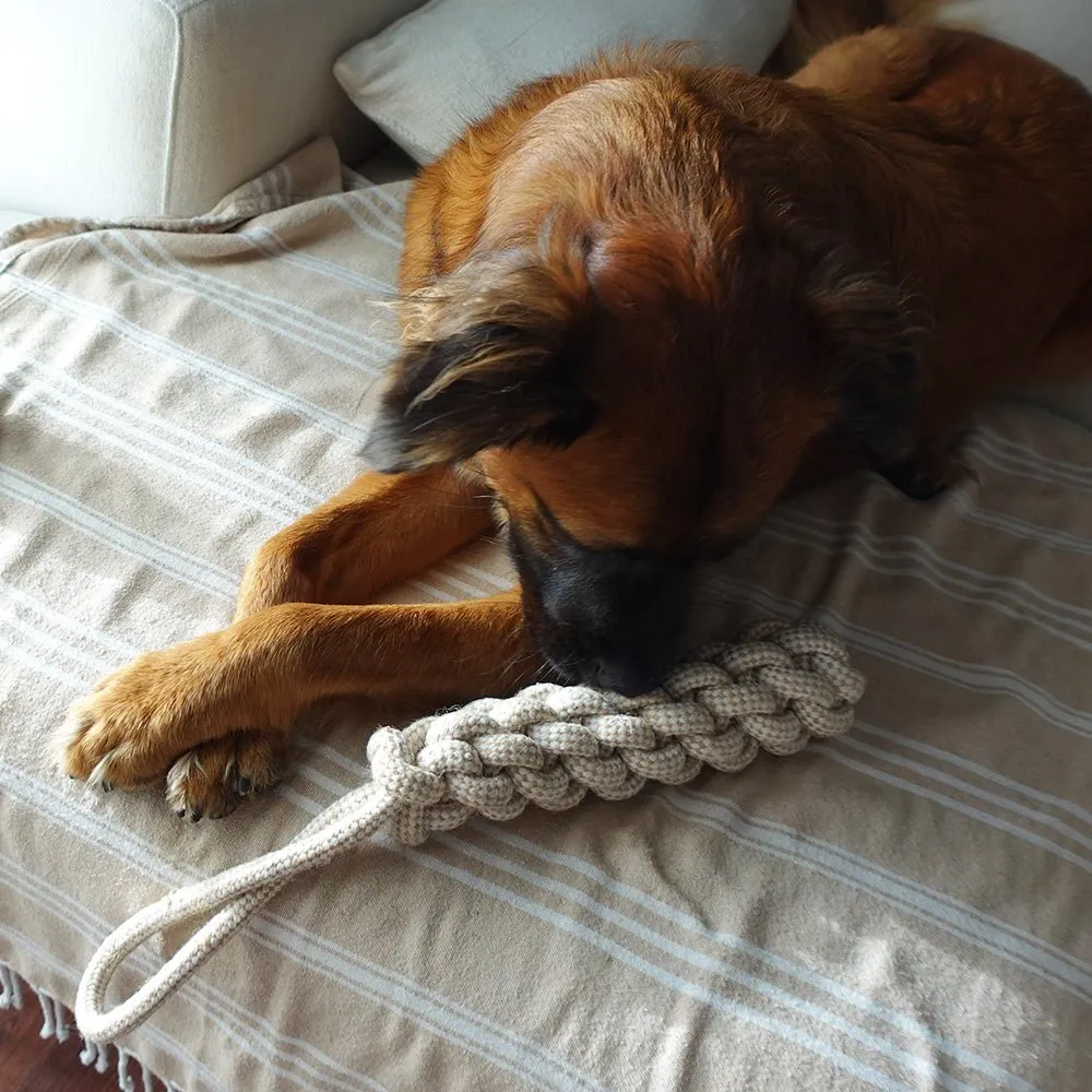 Indestructible & Sustainable Hemp Rope Dog Tug Toy